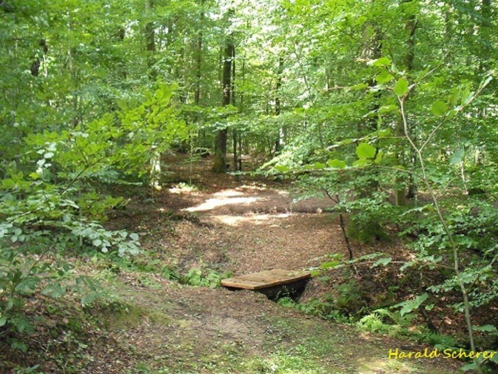 DHW0087.jpg